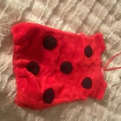 Ladybug costume