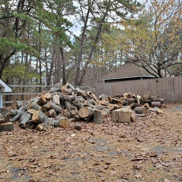 firewood for sale in tuckerton, nj - offerup