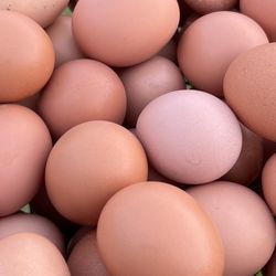 Farm Fresh Chicken Eggs