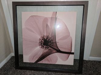 Frames with flower photos