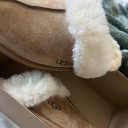 Slippers ugg