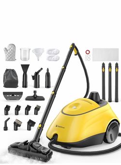 steam cleaner