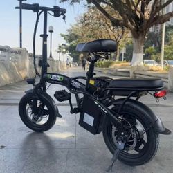 Electric Bike 