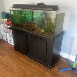 55 Gallon Fish Tank