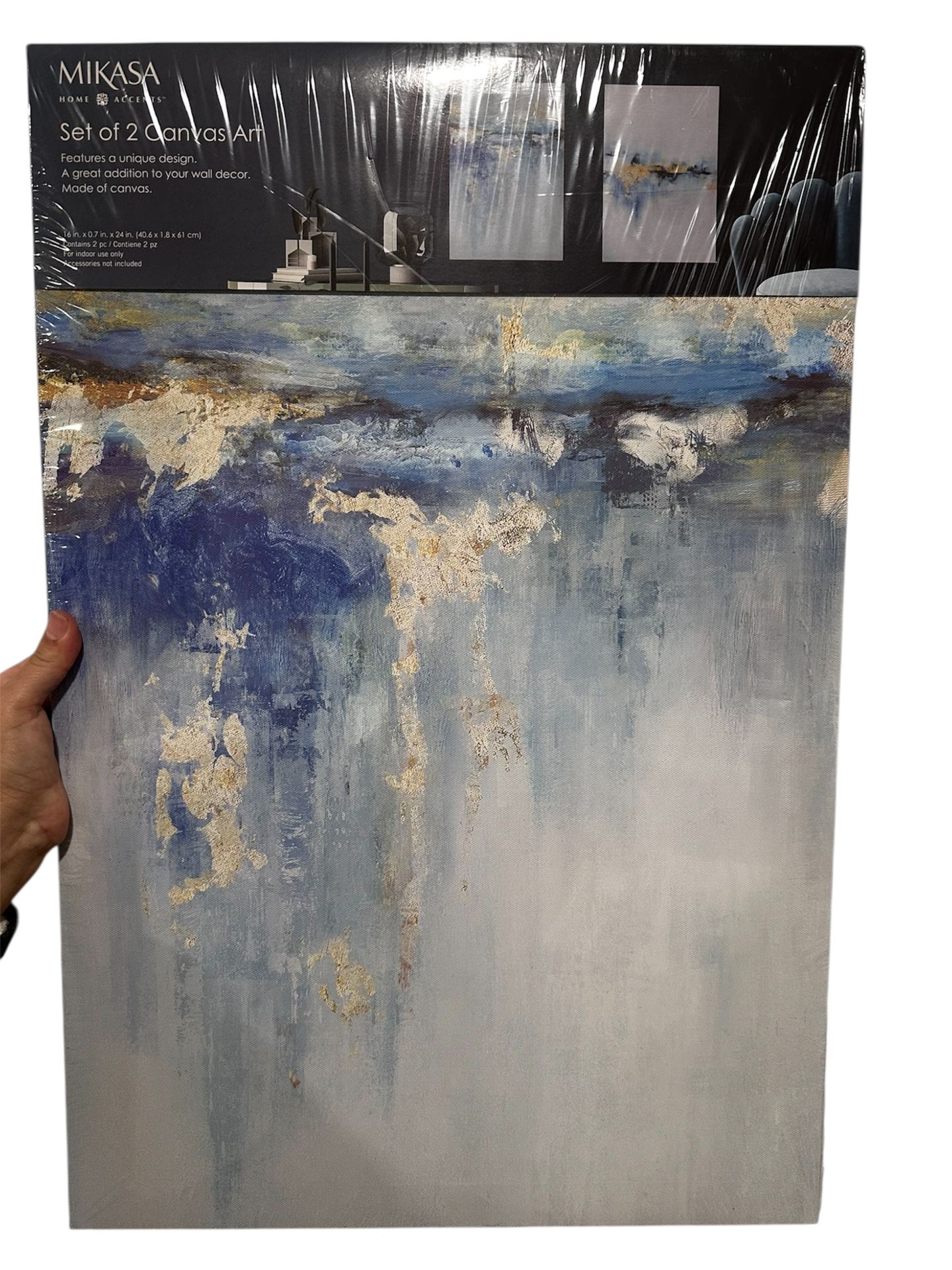 Set of 2 Canvas Wall Art – Brand New in Box