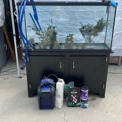 60 Gallon Fish Tank Set Up
