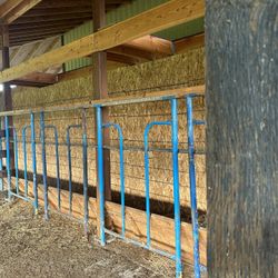Cattle Barn Feeding Bars 