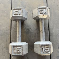 15 Lbs Dumbell Set