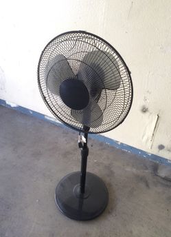 Living room fan