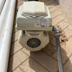 Pool Pump 