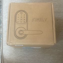 Smart Door Handle Lock 