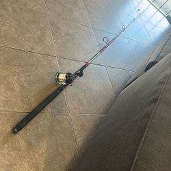 Fishing Rod And Reel 