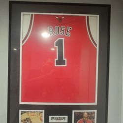 Derrick Rose Framed Jersey