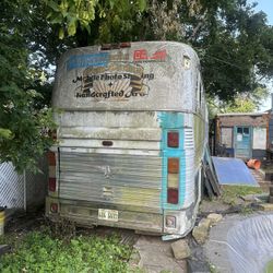 Rare Silver Eagle Coach