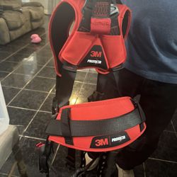 Harness