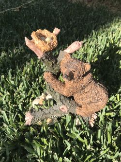 Bears