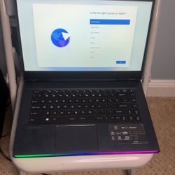 MSI GE66 Raider Gaming Laptop – i7-10750H / RTX 2070 Super / 32 GB RAM / 1 TB SSD