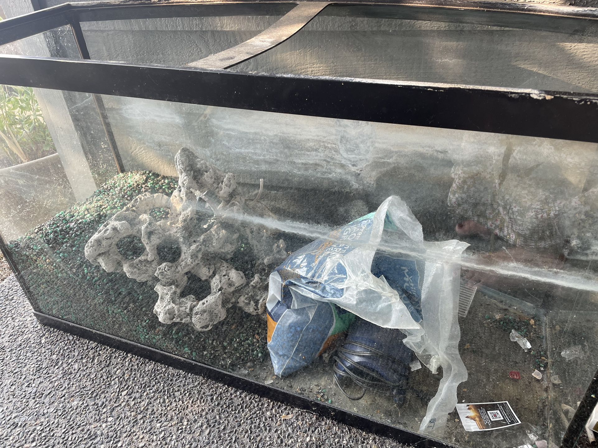 Fish tank With Curved Front FREE Offer 
