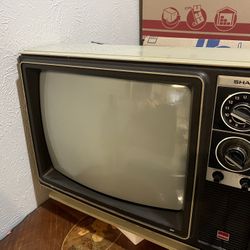 Televisión 1977