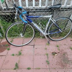 Bici 220
