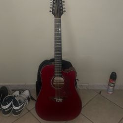 Takamine 12 String G Series 