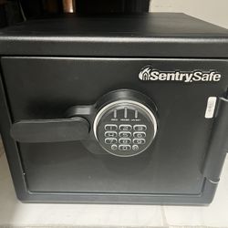 Sentry Safe