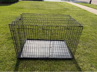 Top paw cage