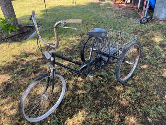 Trike bicycle