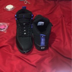 Jordan Dark Concord 12s 
