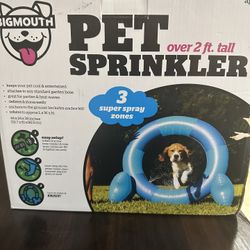 Pet Toy 