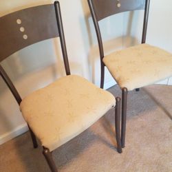 Two Chairs Dragonfly Seat Cover Bistro Size