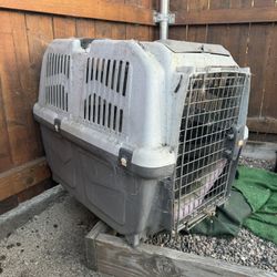 Dog Kennel 