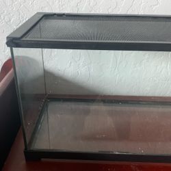 Lizard Cage 