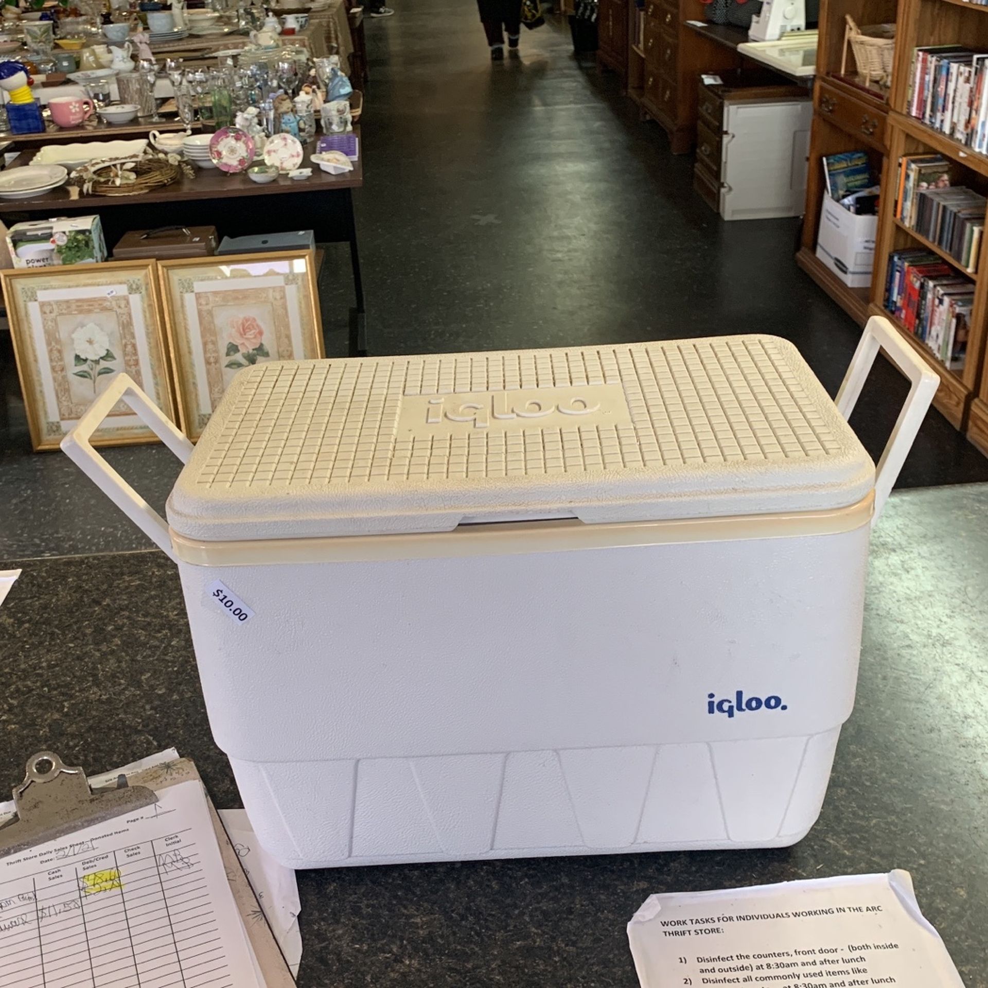 Igloo Cooler