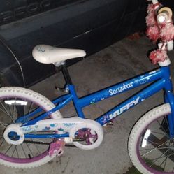 Used Huffy Seastar