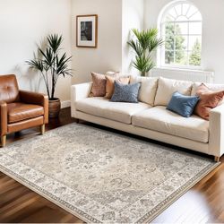 Living Room 4x6 Area Rugs