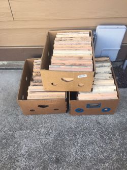Firewood 
