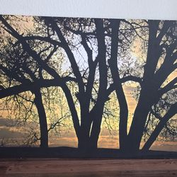 Trees At Sunset Print on Canvas