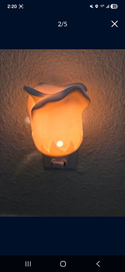 Mini Scentsy Tea Rose Warmer. Works Perfectly. Must Pick Up In Horizon 