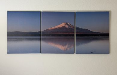 Fuji art