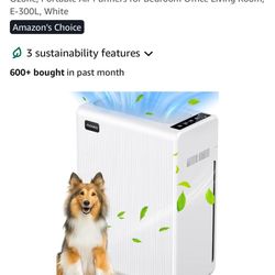 Air Purifiers