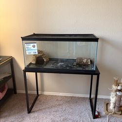 40 gall reptile setup