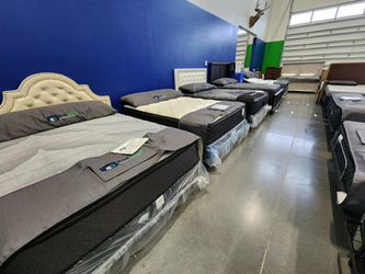 Bed Liquidation Clearance Event!