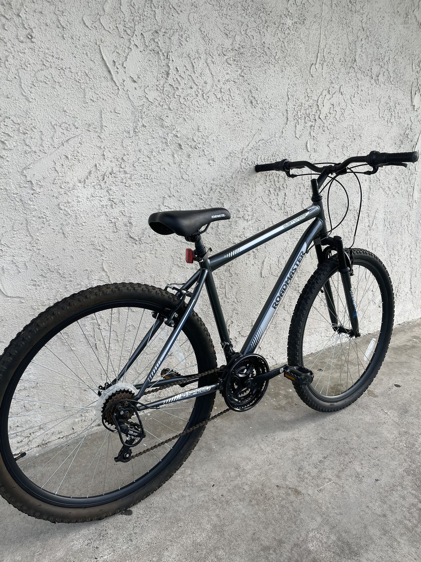 Big Roadmaster Bike