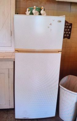 Fridge