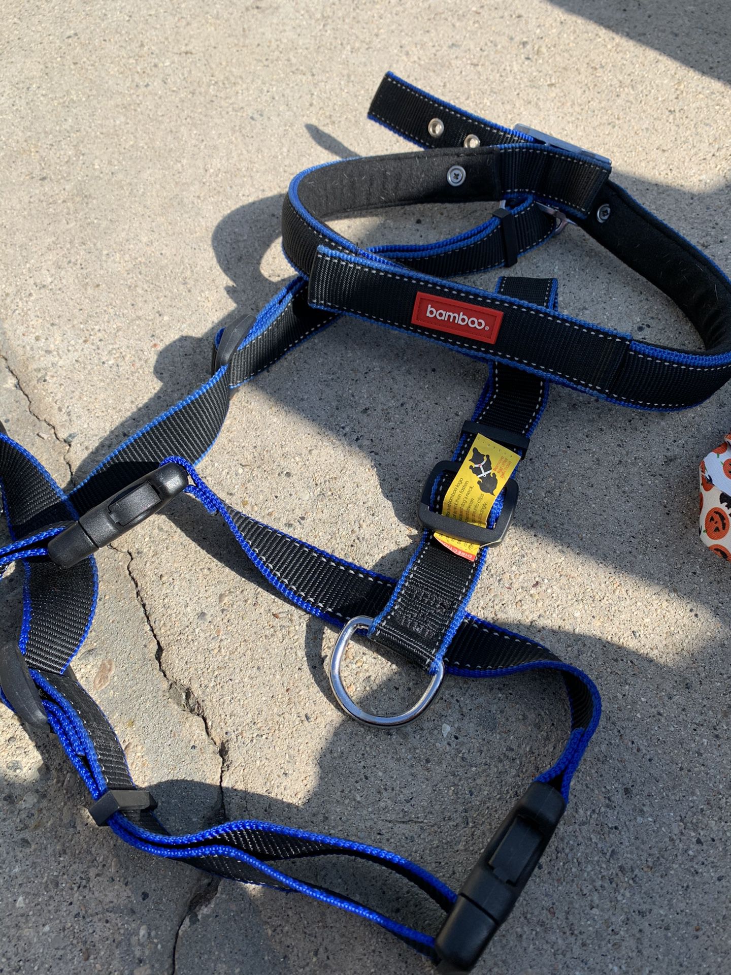 Dog items- harness for large dog, collars and muzzle