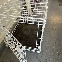 Dog kennel 