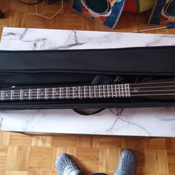 Anygig travel bass deals