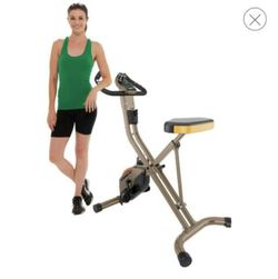 EXERPEUTIC Gold 500 XLS Capacity Foldable Magnetic Bike - 400 lb.