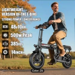 Electric Folding Bike